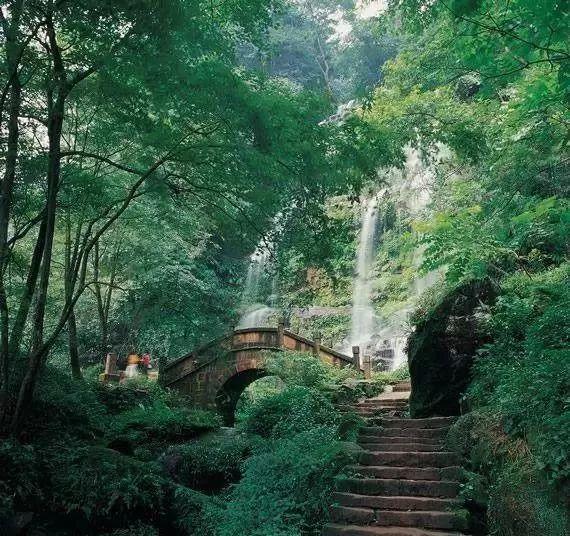逃出安逸小乡村